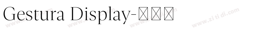 Gestura Display字体转换 Gestura Display字体转换